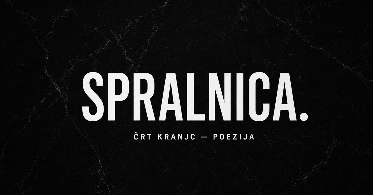 Website preview of spralnica.si